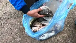 Рыбалка в Караганде 2019! Танатбай!