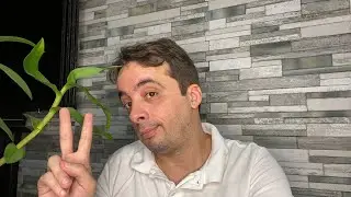 FAQ 651 - Perguntas Gerais do FAQ anterior