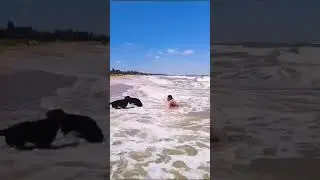 На  Азовском море
