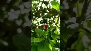 mobile photography idea💡-41
