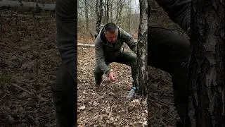 Survival Tip: How to Find Water in the Wild in Spring. 