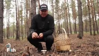 "Рыбалка по-лугански!" Тихая охота