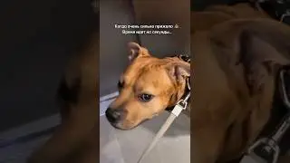 Когда очень хочется 🤣🤣