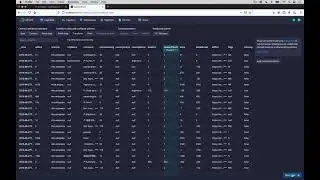 Apache Druid 0.21.0 Quickstart, Lookups, and JOINs