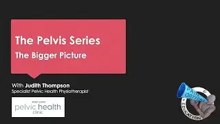 The Pelvis 9 -  The Bigger Picture
