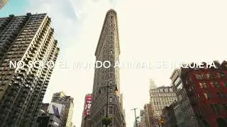 ¿Qué está pasando en el Mundo?