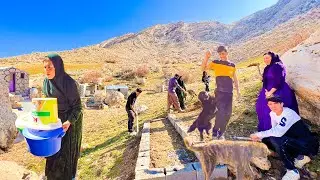 Building a Beautiful Platform for Amir and His Sons' Honey Hives