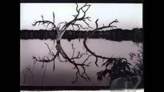 Tab Benoit-Me And My Guitar
