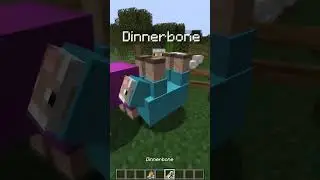 Sheep + Dinnerbone sheep = ???