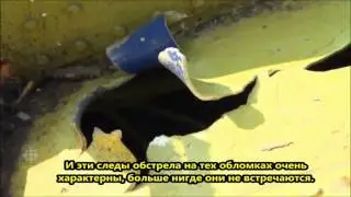 Сотрудник ОБСЕ обнаружил на боинге отверстия от пуль крупнокалиберного  пулемета