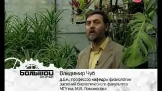 Наука 2 0  Симметрия и Асимметрия