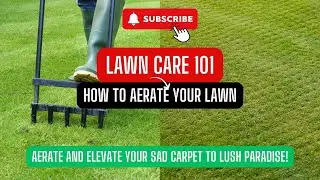 How to Aerate your lawn | Tools and Tips