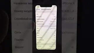 24 мая 2021 г.