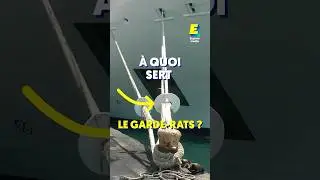 À quoi sert le garde-rats ? 🐭 