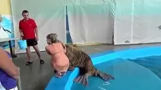 Твоя попа ,как орех