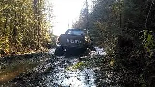 sunday at the swamp hole