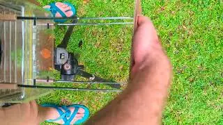 New Features on Automated Moth Detector