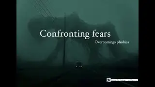Confronting Fears: A Guide to Overcoming Phobias 😱