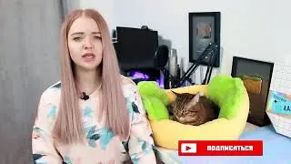 Лизун из туалетной бумаги без клея/слайм из шампуня без маски плёнки