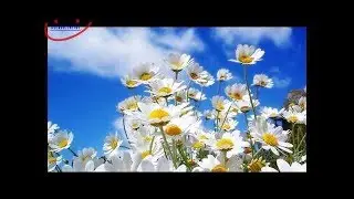 Лечебная музыка для детей. Моцарт эффект. 9 мелодий.