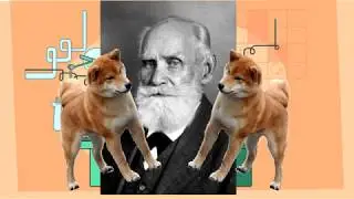Classical Conditioning | A Slice of Psych