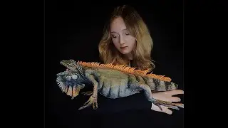 Презентация Фом-арт Варан игуана
