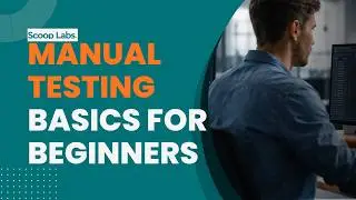 Manual Testing Basics for Beginners - Real-Time Example