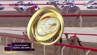 ملخص أشواط اللقايا (لأبناء القبائل) بمهرجان جائزة زايد الكبرى -صباح ٢٨-١١-٢٠٢١