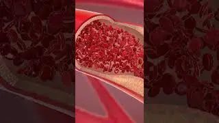 Syphilis infects your blood vessels