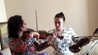 О количестве смычка и звуке на жильной струне 