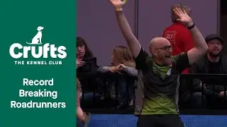 Roadrunners BREAK Flyball Record ⚡