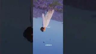 RM wild flower(with youjeen) lyrics WhatsApp status💜🌸