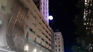 MoonPie Over Mobile 2020
