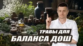 Herbs for VATA, PITTA, and KAPHA Doshas | AYURVEDA Preparations