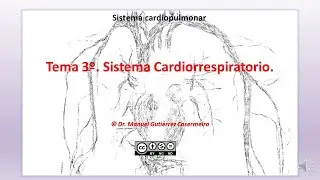 03 1 Generalidades Sangre y vasos