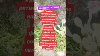 #рекомендации