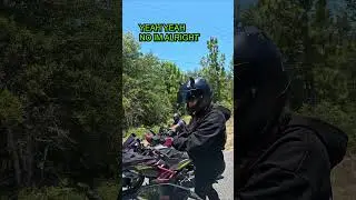 Motorcyclist Crashes Into Trees #crash #bikelife
