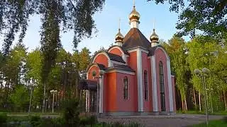 2024/5/24:  Озерцо-болотце у Пантелеймоновской часовни на территории МСЧ-59 в Заречном. Соловей поёт