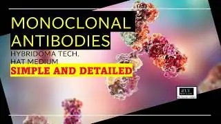 Details Of Monoclonal Antibodies Creation Using Hybridoma Technology And Hat Medium