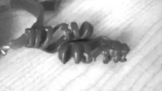 Сон Хаулин