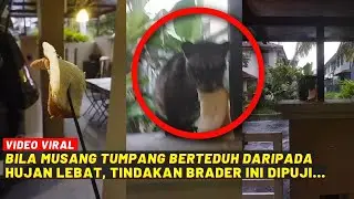 BILA MUSANG TUMPANG BERTEDUH DARIPADA HUJAN LEBAT, TINDAKAN BRADER NI DIPUJI...