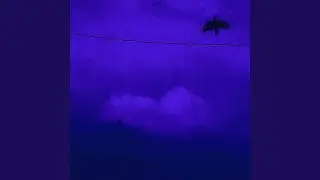 fly away (Slowed Version)