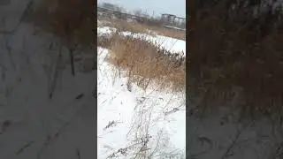 Тестируем толкач 15 л.с.
