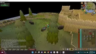 New Runescape Private Server