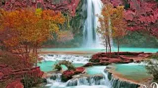 صوت قرآن يريح القلوب