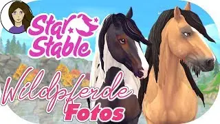 WILDPFERDE Foto Session, so schön!  ★ STAR STABLE [SSO DEUTSCH]