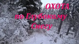 ДОБЫЛ СОВСЕМ НЕ ТО!