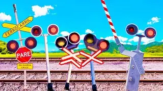 Extremely Shy Railroad Crossing (Paso a nivel)