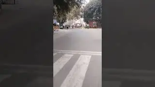 CP Boy video 