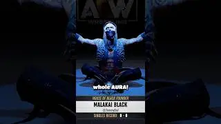 Who Are You Playing As First In AEW Fight Forever?